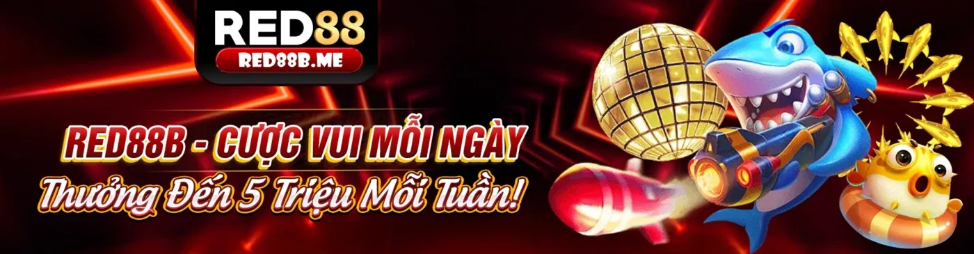 Banner khuyến mãi hấp dẫn